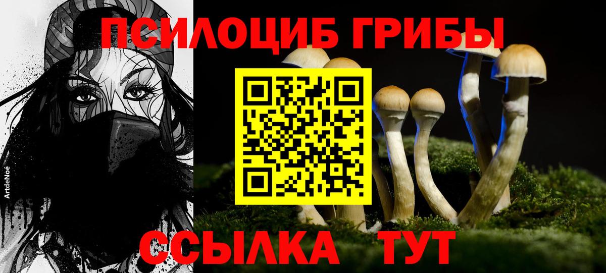 Галлюциногенные грибы Psilocybe  Вход с VPN  Коряжма 