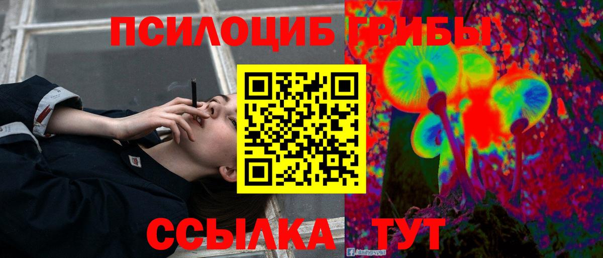 Галлюциногенные грибы Коряжма